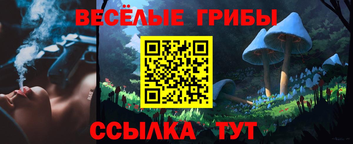 Псилоцибиновые грибы Psilocybe Прокопьевск